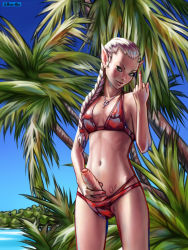Rule 34 | 1girl, beach, bikini, braid, breasts, claymore (series), covered erect nipples, erection, foreskin, futanari, h1kar1ko, highres, middle finger, nail polish, navel, ocean, ophelia, outdoors, penis, pointy ears, silver hair, small breasts, solo, standing, swimsuit, tree, uncensored