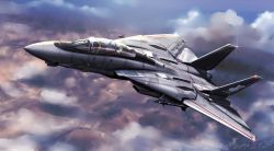 Rule 34 | 2015, aircraft, airplane, artist name, cloud, cloudy sky, cockpit, dated, day, f-14 tomcat, fighter jet, flying, from above, glint, jet, military, military vehicle, missile, original, pilot, realistic, signature, sky, vehicle focus, zephyr164