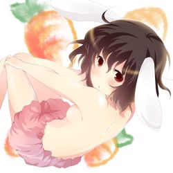Rule 34 | 1girl, animal ears, bad id, bad pixiv id, bloomers, breasts, rabbit ears, carrot, female focus, inaba tewi, small breasts, solo, topless, touhou, underwear, yatomi