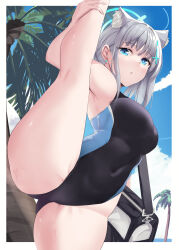 Rule 34 | 1girl, absurdres, animal ears, bare arms, bare legs, bare shoulders, black one-piece swimsuit, blue archive, blue eyes, blue halo, breasts, butter curry, commentary, competition swimsuit, day, extra ears, grey hair, halo, highres, medium breasts, medium hair, official alternate costume, one-piece swimsuit, outdoors, shiroko (blue archive), shiroko (swimsuit) (blue archive), solo, split, swimsuit, wet, wolf ears