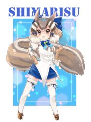 Rule 34 | 1girl, absurdres, animal ears, brown eyes, brown hair, chipmunk ears, chipmunk girl, chipmunk tail, extra ears, gloves, highres, kemono friends, kemono friends v project, kneehighs, kuromitsu (9633 kmfr), looking at viewer, microphone, open mouth, ribbon, shirt, shoes, short hair, shorts, siberian chipmunk (kemono friends), simple background, socks, solo, tail, vest, virtual youtuber
