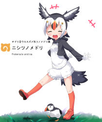 Rule 34 | +++, 10s, 1girl, :d, ^ ^, animal, atlantic puffin (kemono friends), bird, black hair, black jacket, blush, character name, closed eyes, commentary request, cropped jacket, facing viewer, feathered wings, frilled skirt, frills, full body, gloves, head wings, highres, jacket, kemono friends, kneehighs, long sleeves, makuran, multicolored hair, name connection, open clothes, open jacket, open mouth, orange footwear, orange hair, orange socks, red hair, round teeth, shirt, shoes, simple background, skirt, smile, socks, solo, standing, standing on one leg, sweater vest, teeth, upper teeth only, white background, white gloves, white hair, white shirt, white skirt, white wings, wings