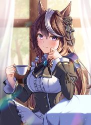 Rule 34 | 1girl, absurdres, alternate costume, animal ears, apron, blush, breasts, brown hair, crossed legs, cup, curtains, dress, enmaided, feet out of frame, fran 690, frilled dress, frilled sleeves, frills, head rest, highres, holding, holding cup, horse ears, horse girl, leaning on table, light particles, long hair, long sleeves, maid, medium breasts, multicolored hair, purple eyes, sitting, smile, solo, streaked hair, symboli rudolf (umamusume), table, teacup, tree, umamusume, white hair, window