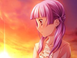 Rule 34 | 1girl, agnes ardbeg augustus, game cg, harem party, purple hair, red eyes, sunset, twintails