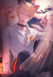 Rule 34 | 1boy, ahoge, animal collar, animal ears, arm support, arthur pendragon (fate), artist name, bad id, bad pixiv id, bat (animal), blonde hair, candy print, cat ears, choker, claw pose, collar, collarbone, collared shirt, commentary request, curtains, dress shirt, fate/stay night, fate (series), green eyes, halloween, hand up, highres, koa (koa 124), lamp, looking at viewer, male focus, nail polish, open mouth, orange ribbon, pants, pumpkin print, ribbon, shirt, short hair, sitting, smile, solo, tail, teeth, unbuttoned, unbuttoned shirt, upper teeth only, white shirt, wolf ears, wolf tail