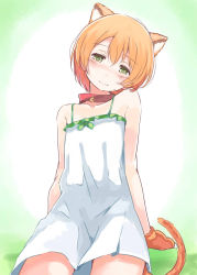 Rule 34 | 10s, 1girl, animal ears, animal hands, bad id, bad pixiv id, bare shoulders, bell, blush, cat ears, cat paws, cat tail, collar, cowboy shot, dress, green eyes, head tilt, highres, hoshizora rin, looking at viewer, love live!, love live! school idol project, neck bell, nyoijizai, orange hair, short hair, simple background, smile, spaghetti strap, sundress, tail
