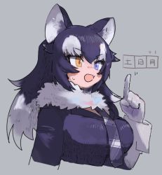 Rule 34 | 1girl, animal ears, black hair, blue eyes, blush, commentary request, fang, fur collar, gloves, grey background, grey wolf (kemono friends), heterochromia, highres, jacket, kemono friends, long hair, long sleeves, multicolored hair, naka (buttergirl 02), necktie, plaid, plaid necktie, pointing, pointing up, solo, translation request, white hair, wolf ears, yellow eyes