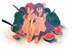 Rule 34 | 2girls, anklet, apple-boy, armlet, barefoot, blue eyes, bracelet, braid, dirty, dirty feet, double v, feet, feet together, flower, food, fruit, genderswap, genderswap (mtf), green hair, hair flower, hair ornament, highres, jewelry, long hair, lotus, multiple girls, necklace, one-piece swimsuit, open mouth, pendant, purple hair, ranma-chan, ranma 1/2, red eyes, red hair, saotome ranma, shampoo (ranma 1/2), single braid, sitting, smile, soles, swimsuit, sword, toes, v, watermelon, weapon, wooden sword