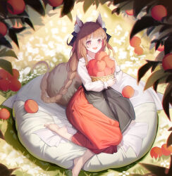 Rule 34 | 1girl, absurdres, animal ears, apron, barefoot, basket, black apron, blunt bangs, braid, brown hair, commentary, food, fruit, goguhaku, highres, holding, holding basket, holo, long hair, long skirt, long sleeves, looking at viewer, open mouth, orange skirt, red eyes, shirt, sitting, skirt, smile, solo, spice and wolf, tail, twin braids, white shirt