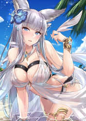 Rule 34 | 1girl, absurdres, animal ears, bare arms, bare shoulders, beach, bikini, blue eyes, blue flower, blue sky, blunt bangs, blush, bracer, branch, breasts, cleavage, cloud, collarbone, day, erune, flower, gem, glint, granblue fantasy, grey hair, hair flower, hair ornament, head tilt, heart, hibiscus, highres, holding, kazami chiu, korwa, korwa (summer) (granblue fantasy), large breasts, leaning forward, left-handed, light smile, long hair, looking at viewer, o-ring, o-ring bikini, ocean, outdoors, palm tree, parted lips, partially submerged, quill, sand, see-through, shiny skin, sidelocks, sky, solo, sparkle, standing, swimsuit, thighlet, tree, very long hair, water, wet, wet clothes, white bikini
