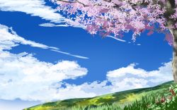 Rule 34 | blue sky, cherry blossoms, cloud, day, flower, grass, landscape, no humans, original, outdoors, pink flower, red flower, scenery, sky, tree, waisshu (sougyokyuu)