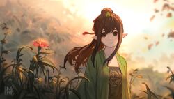 Rule 34 | 1girl, blurry, brown eyes, brown hair, chinese clothes, closed mouth, duijin ruqun, elf, facial mark, flower, forehead mark, hair ribbon, hanfu, highres, hua ming wink, long hair, long sleeves, looking at viewer, nature, original, outdoors, plant, pointy ears, ponytail, red flower, red ribbon, ribbon, smile, solo, standing, sunlight