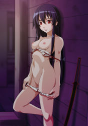 Rule 34 | 10s, 1girl, akame (akame ga kill!), akame ga kill!, alley, bare legs, bikini, black hair, breasts, censored, exhibitionism, female focus, itou nobuhiro, katana, long hair, looking at viewer, mosaic censoring, navel, nipples, outdoors, public indecency, pussy, red eyes, small breasts, solo, swimsuit, sword, topless, undressing, very long hair, weapon