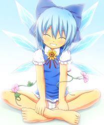 Rule 34 | 1girl, :d, bare legs, barefoot, blue background, blue bow, blue dress, blue hair, blush, bow, cameltoe, cirno, commentary request, crossed ankles, detached wings, dress, facing viewer, feet, flower, frilled sleeves, frills, full body, gradient background, grin, hair bow, hands on legs, head tilt, ice, ice wings, indian style, mofupaka, open mouth, panties, pantyshot, pinafore dress, plant, puffy short sleeves, puffy sleeves, red ribbon, ribbon, short dress, short hair, short sleeves, sitting, sleeveless dress, smile, solo, sunflower, tanned cirno, teeth, toes, touhou, underwear, upskirt, vines, white panties, wings