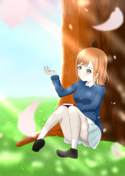 Rule 34 | 1girl, absurdres, alternate hairstyle, artist name, artist request, bare legs, black footwear, blouse, blue sky, blue sweater, blush, book, book on lap, breasts, brown eyes, brown hair, cloud, collared shirt, day, falling petals, female focus, full body, grass, hair between eyes, highres, knees up, kunikida hanamaru, layered skirt, light brown hair, long hair, long sleeves, looking at viewer, love live!, love live! school idol festival, love live! sunshine!!, matching hair/eyes, medium breasts, miniskirt, on grass, outdoors, parted lips, petals, plaid, plaid skirt, pleated, pleated skirt, shirt, shirt under sweater, shoes, sitting, skirt, sky, smile, socks, solo, sweater, undershirt, white petals, white shirt, white skirt, wing collar, yellow eyes