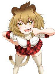 Rule 34 | 10s, 1girl, animal ears, bent over, blush, breasts, brown hair, eyebrows, facing viewer, fang, finger in own mouth, fur collar, gradient hair, hair between eyes, hand on own hip, highres, kemono friends, legs apart, light brown hair, lion (kemono friends), lion ears, lion tail, looking at viewer, miniskirt, multicolored hair, necktie, plaid, plaid skirt, pleated skirt, pocket, red necktie, red skirt, shirt, short hair, short sleeves, simple background, skindentation, skirt, small breasts, solo, standing, tail, takatsuki nao, teeth, thighhighs, tongue, tsurime, two-tone hair, white background, white shirt, white thighhighs, yellow eyes, zettai ryouiki