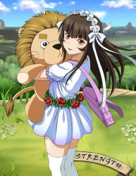 Rule 34 | 1girl, blunt bangs, bow, brown eyes, brown hair, day, dress, floating hair, from side, hair bow, hair ribbon, holding, ikkitousen, long hair, open mouth, outdoors, pleated dress, ribbon, shiny skin, short dress, short sleeves, solo, standing, stuffed animal, stuffed lion, stuffed toy, sundress, ten&#039;i (ikkitousen), thighhighs, white bow, white dress, white ribbon, white thighhighs, zettai ryouiki