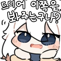 Rule 34 | 1girl, black eyes, chibi, commentary request, genshin impact, hair between eyes, korean commentary, korean text, looking at viewer, lowres, oldstore, paimon (genshin impact), simple background, solo, translation request, white background, white hair