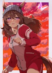 Rule 34 | 1girl, animal ears, beanie, blush, brown hair, bug, butterfly, cloud, ears through headwear, grey hat, hat, high collar, highres, horse ears, horse girl, horse tail, insect, jacket, long sleeves, nakayama festa (umamusume), oage (su4i7ri u), open mouth, partially unzipped, purple eyes, red jacket, red shorts, shorts, solo, sunset, sweat, tail, track jacket, umamusume