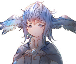 Rule 34 | 1girl, blue eyes, blue hair, blue wings, closed mouth, commentary request, feathered wings, final fantasy, final fantasy xiv, head wings, looking at viewer, meteion, shirt, simple background, solo, tota (sizukurubiks), upper body, white background, white shirt, wings