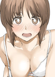 Rule 34 | 1girl, blush, bra, bra pull, breasts, brown eyes, brown hair, cleavage, clothes pull, collarbone, elf (stroll in the woods), girls und panzer, looking at viewer, medium breasts, nishizumi miho, open mouth, out-of-frame censoring, shiny skin, simple background, solo, strap gap, sweat, underwear, underwear only, upper body, white background, white bra