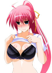 Rule 34 | 1girl, black bra, blue eyes, blush, bra, braid, breasts, cleavage, closed mouth, clothes lift, engo (aquawatery), hair ribbon, large breasts, lifted by self, lingerie, long hair, lyrical nanoha, mahou shoujo lyrical nanoha, mahou shoujo lyrical nanoha a&#039;s, mahou shoujo lyrical nanoha strikers, pink hair, ponytail, ribbon, shirt, shirt lift, signum, simple background, smile, solo, underwear, white background, white shirt