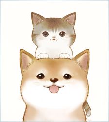 Rule 34 | :3, :p, animal focus, ayu (mog), border, cat, dog, grey border, looking at viewer, no humans, on head, original, simple background, smile, tongue, tongue out, white background