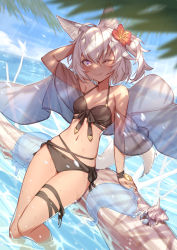 Rule 34 | 1girl, ;), ahoge, animal ears, arm up, bare shoulders, bikini, black bikini, black bow, blush, bow, bracelet, breasts, cleavage, collarbone, crab, day, fang, fang out, feet out of frame, flower, fox ears, fox girl, fox tail, front-tie bikini top, front-tie top, hair flower, hair ornament, hand in own hair, hibiscus, highres, jewelry, looking at viewer, one eye closed, one side up, original, outdoors, palm tree, purple eyes, red flower, see-through, shawl, short hair, side-tie bikini bottom, silver hair, sitting, slime (creature), small breasts, smile, soaking feet, solo, swimsuit, tail, thigh strap, tree, tree trunk, water, yellowpaint.