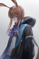 Rule 34 | 1girl, absurdres, amiya (arknights), animal ears, arknights, ascot, bilibilida, black coat, blue eyes, brown hair, chinese commentary, closed mouth, coat, commentary request, female focus, grey background, highres, hood, hooded coat, long hair, long sleeves, ponytail, purple ascot, rabbit ears, sad, sidelocks, solo, upper body