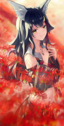 Rule 34 | 1girl, absurdres, animal ear fluff, animal ears, black hair, black shirt, black skirt, closed mouth, commentary request, crop top, field, flower, flower field, hair ornament, hairclip, highres, hololive, long hair, long sleeves, looking at viewer, midriff, nayuyu1105, ookami mio, ookami mio (1st costume), outdoors, red flower, shirt, skirt, smile, solo, spider lily, standing, very long hair, virtual youtuber, wolf ears, yellow eyes