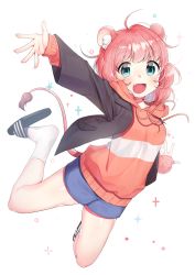 Rule 34 | 1girl, absurdres, ahoge, animal ear fluff, animal ears, bare legs, black footwear, black jacket, blue eyes, blue shorts, blush, commentary request, dot nose, fang, highres, jacket, lion ears, lion girl, lion tail, long sleeves, open mouth, original, pink hair, pink sweater, sandals, short hair, short shorts, shorts, simple background, socks, solo, sweater, taemin, tail, white background, white socks