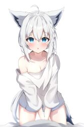 Rule 34 | 1girl, absurdres, amato 0321, animal ears, blue eyes, breasts, cleavage, fox ears, fox girl, fox tail, highres, hololive, long hair, looking at viewer, medium breasts, naked sweater, no pants, off shoulder, shirakami fubuki, simple background, sleeves past elbows, sweater, tail, very long hair, virtual youtuber, white background