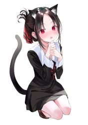 1girl animal_ear_fluff animal_ears bad_id bad_pixiv_id bare_legs black_dress blush breasts brown_footwear cat_ears cat_tail dress eyelashes full_body hair_ribbon highres kaguya-sama_wa_kokurasetai_~tensai-tachi_no_renai_zunousen~ kemonomimi_mode looking_at_viewer nabi_(uz02) neck_ribbon open_mouth parted_bangs red_eyes red_ribbon ribbon school_uniform shinomiya_kaguya shoes short_dress short_hair shuuchiin_academy_school_uniform simple_background small_breasts solo squatting sweat tail thighs white_background wrist_cuffs