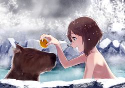 Rule 34 | 10s, 1girl, animal, bad id, bad twitter id, bare shoulders, brown eyes, brown hair, capybara, closed eyes, commentary, from side, unworn headgear, kantai collection, nude, onsen, rock, short hair, smile, snow, snowing, steam, tachikoma (mousou teikoku), yukikaze (kancolle)