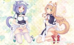 Rule 34 | 2girls, :d, animal ear fluff, animal ears, ass, bell, blonde hair, blush, bow, breasts, cameltoe, cat day, cat ears, cat girl, cat tail, cinnamon (nekopara), clothes lift, clothes pull, commentary request, curly hair, frills, full body, green bow, green eyes, green footwear, hair ribbon, heart, heart hands, high heels, jingle bell, kneeling, large breasts, lifting own clothes, long hair, looking at viewer, maid, maid headdress, maple (nekopara), medium breasts, multiple girls, name tag, neck bell, nekopara, official art, open mouth, orange bow, orange panties, panties, pantyhose, pantyhose pull, pink panties, ponytail, puffy short sleeves, puffy sleeves, purple hair, red footwear, red heels, ribbon, sayori (neko works), shoes, short sleeves, skirt, skirt lift, smile, tail, underwear, uniform, white legwear, white ribbon