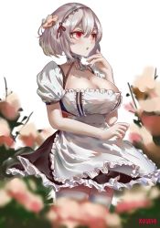 Rule 34 | 1girl, anchor choker, apron, artist name, azur lane, blush, breasts, choker, cleavage, collarbone, eyelashes, flower, frilled choker, frills, hair between eyes, hair flower, hair ornament, hairband, hand up, highres, lace-trimmed hairband, lace trim, large breasts, looking away, maid apron, open mouth, puffy sleeves, red eyes, short hair, short sleeves, sidelocks, signature, silver hair, simple background, sirius (azur lane), solo, standing, thighhighs, waist apron, white apron, white background, white thighhighs, xu jeff