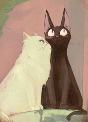 Rule 34 | animal, animal focus, black cat, blush, cat, couple, green eyes, higemu, jiji (majo no takkyuubin), licking, lily (majo no takkyuubin), majo no takkyuubin, no humans, sitting, white cat
