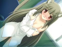Rule 34 | 1girl, animal ears, blush, breasts, cat ears, cat tail, cleavage, covering privates, dress shirt, game cg, grey hair, hime (neko no hime), lilith-soft, long hair, neko no hime, off shoulder, open clothes, open shirt, orange eyes, shirt, solo, sweat, tail, very long hair, yameta takashi