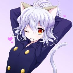 Rule 34 | 1girl, ;), adjusting hair, animal ears, arms up, breasts, bunching hair, cat ears, cat girl, cat tail, curly hair, heart, hunter x hunter, looking at viewer, neferpitou, one eye closed, red eyes, rubber band, short hair, silver hair, slit pupils, small breasts, smile, solo, tail, upper body, watarui