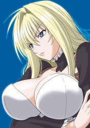 Rule 34 | 00s, 1girl, blonde hair, blue eyes, breasts, large breasts, long hair, misnon the great, sekirei, solo, tsukiumi