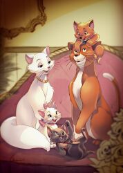 Rule 34 | blurry, blurry foreground, cat, character request, chidentsu, couch, disney, highres, indoors, kitten, marie (the aristocats), no humans, on couch, orange fur, the aristocats, white fur
