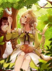 Rule 34 | acorn, animal, animal on arm, animal on lap, animal on shoulder, apron, bird, bird on hand, braid, breasts, cat, day, forest, green eyes, green skirt, hair between eyes, hand up, highres, long hair, looking at animal, medium breasts, natsumura amata, nature, on lap, original, outdoors, owl, sidelocks, sitting, skirt, solo, squirrel, white cat