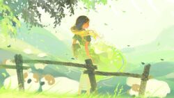 Rule 34 | 1girl, absurdres, animal, apron, bird, black hair, blonde hair, branch, character request, check character, dress, fence, floating clothes, floating hair, flock, from behind, gradient hair, grass, grazing (livestock), green dress, green theme, hengwen, highres, leaf, long hair, mountainous horizon, multicolored hair, nintendo, outdoors, pointy ears, princess zelda, profile, river, sheep, short sleeves, standing, the legend of zelda, wind, wooden fence