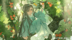 Rule 34 | 1girl, absurdres, artist request, black footwear, black hair, blue dress, branch, douluo dalu, dress, food, fruit, full body, highres, holding, holding branch, in tree, light particles, light rays, long hair, long sleeves, looking up, ning rongrong (douluo dalu), orange (fruit), second-party source, sitting, sitting in tree, solo, tiara, tree