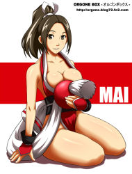 Rule 34 | 1girl, bare shoulders, breasts, brown eyes, brown hair, cleavage, fatal fury, orgone box, pelvic curtain, revealing clothes, shiranui mai, snk, solo, the king of fighters, yas
