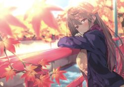Rule 34 | 10s, 1girl, absurdres, against railing, autumn, autumn leaves, black coat, blush, branch, breasts, brown eyes, brown hair, canal, coat, crossed arms, from side, gintarou (kurousagi108), hair between eyes, hair ornament, hairclip, haruna (kancolle), head rest, head tilt, headgear, highres, kantai collection, leaf, long hair, long sleeves, looking at viewer, maple leaf, nature, open clothes, open coat, outdoors, railing, red scarf, ribbed sweater, scan, scarf, smile, solo, sunlight, sunset, sweater, tree, turtleneck, upper body, water