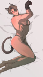 Rule 34 | ace attorney, animal ears, cat boy, cat ears, cat tail, highres, male focus, miles edgeworth, tail