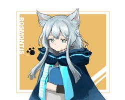 Rule 34 | 1girl, animal ears, arknights, book, hugging book, cat ears, cat girl, character name, cloak, closed mouth, commentary, gloves, green eyes, holding, holding book, hood, hooded cloak, long hair, ne 02240407, hugging object, rosmontis (arknights), silver hair, solo