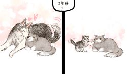 Rule 34 | age progression, animal, animal focus, cat, commentary, dog, closed eyes, fuyuri (tibirobo), no humans, original, puppy, simple background, size difference, timeskip, translated, yellow eyes