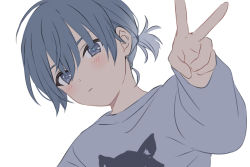 Rule 34 | 1boy, bad id, bad twitter id, blush, closed mouth, copyright request, grey eyes, grey hair, grey shirt, highres, looking at viewer, male focus, ponytail, sekina, shirt, short hair, simple background, solo, v, white background